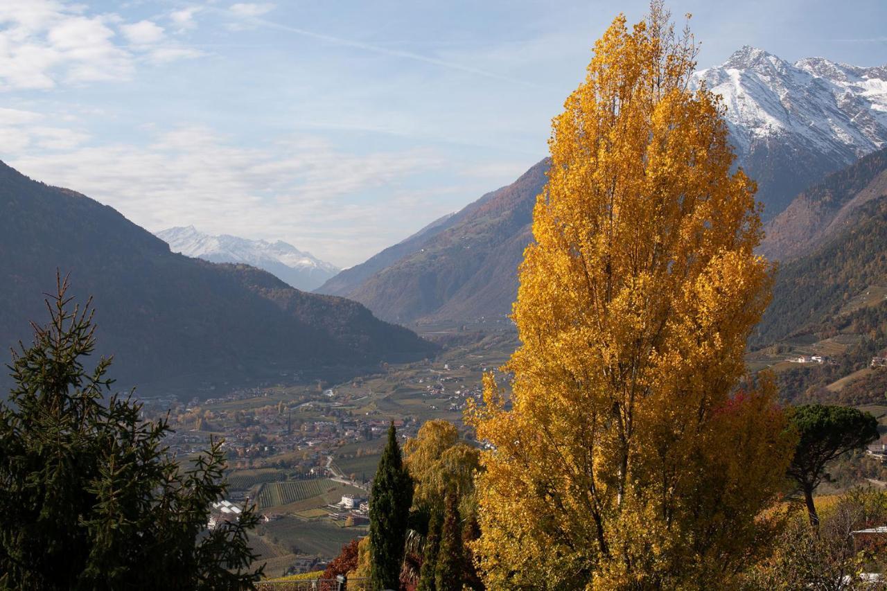Pension Leimerhof Tirol Exteriér fotografie